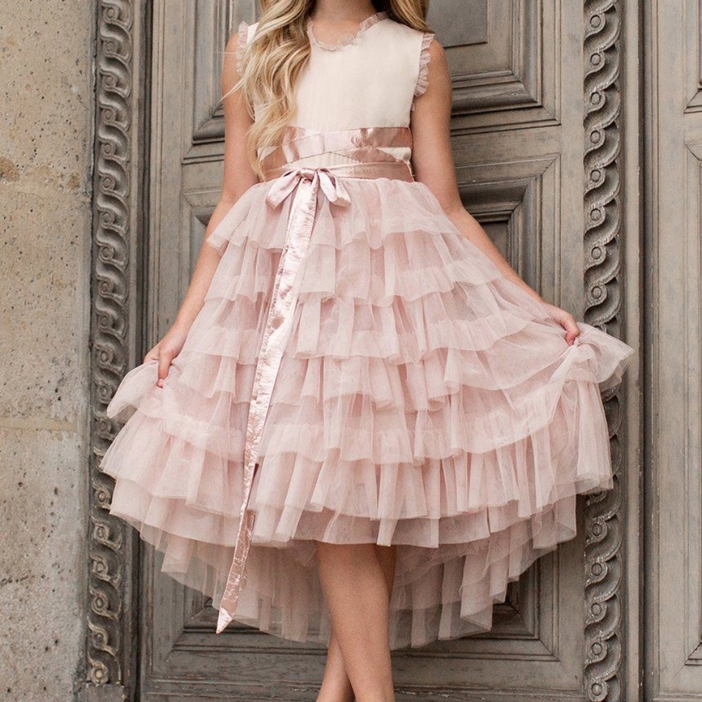 Joyfolie Geneva Pink Tulle Dress size 14